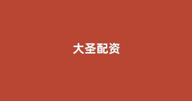 配资是什么意思